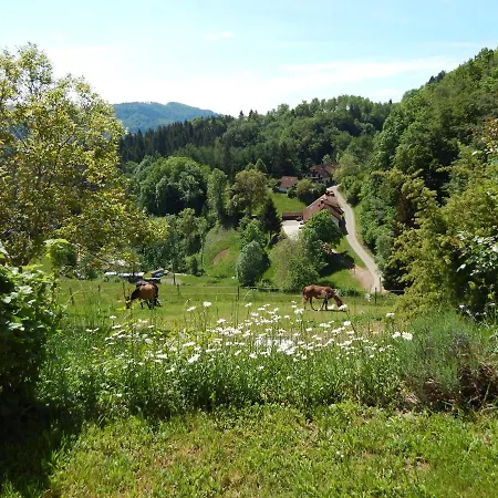 Appartement Schwedenhaus Raich